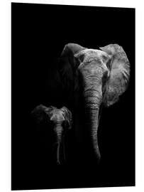 Foam board print Elephant mother and child