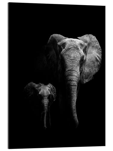 Gallery print Elephant mother and child