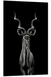 Tableau en aluminium Grand kudu