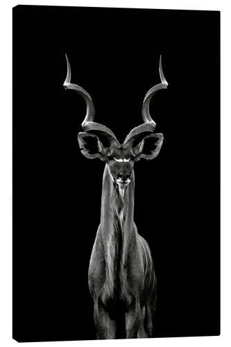 Canvas print Great kudu