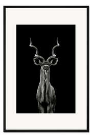 Gerahmter Kunstdruck Großer Kudu