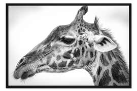 Gerahmter Kunstdruck Massai-Giraffe