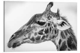 Magnettafel Massai-Giraffe