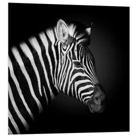 Foam board print Zebra