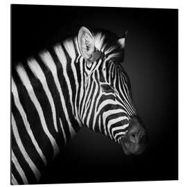 Magnettafel Zebra