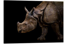 Gallery print Rhinoceros