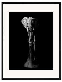 Gerahmter Kunstdruck Elefant