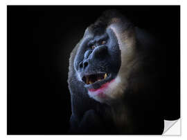 Selvklebende plakat Mandrill