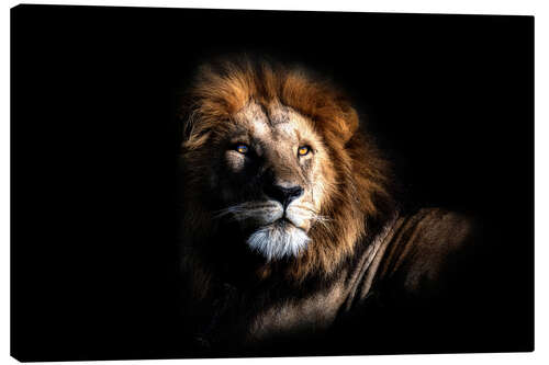 Canvas-taulu The Simber