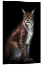 Akryylilasitaulu Lynx portrait