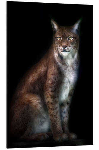 Aluminiumtavla Lynx portrait