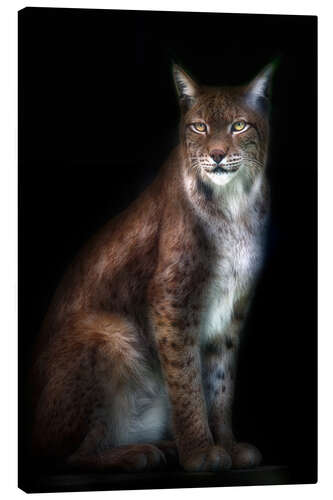 Leinwandbild Luchs-Portrait