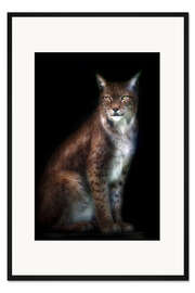 Gerahmter Kunstdruck Luchs-Portrait