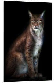 Magnettafel Luchs-Portrait