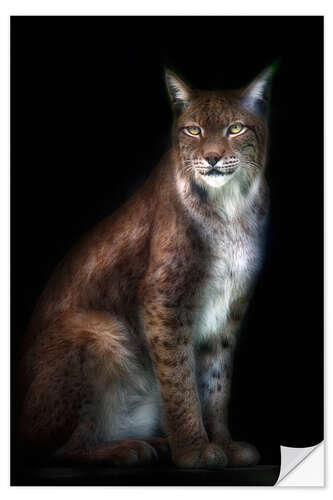 Wandsticker Luchs-Portrait