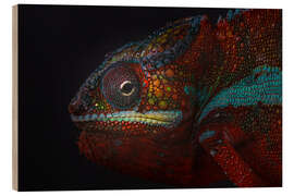 Wood print Red chameleon