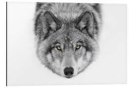 Magnettafel Timber Wolf