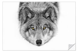 Wandsticker Timber Wolf