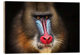 Holzbild Wilder Mandrill in Schwarz