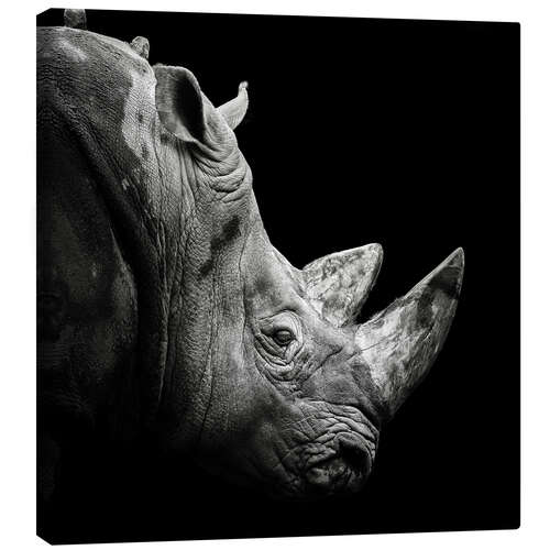 Canvas print Rhino