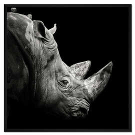 Gerahmter Kunstdruck Rhino