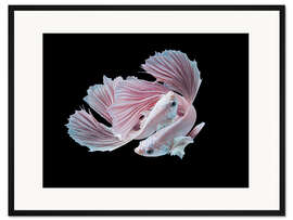 Gerahmter Kunstdruck Die Liebe