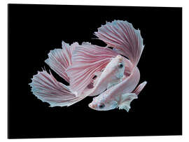 Magnettafel Die Liebe