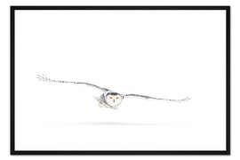 Gerahmter Kunstdruck Schnee-Eule auf der Jagd