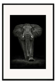 Gerahmter Kunstdruck Ngorongoro-Bulle