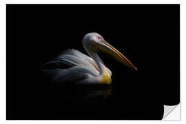 Wall sticker Pelican in the dark ...