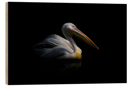 Wood print Pelican in the dark ...