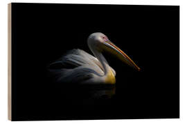 Hout print Pelican in the dark ...