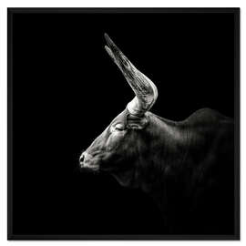 Gerahmter Kunstdruck Watusi