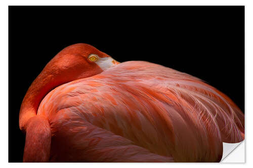 Sisustustarra Melancholy flamingo