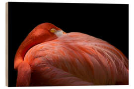 Wood print Melancholy flamingo