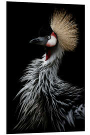 PVC-taulu Gray crowned crane