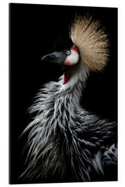 Galleritryck Gray crowned crane