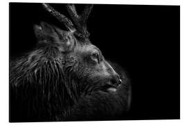 Magnettafel Ein Rückblick