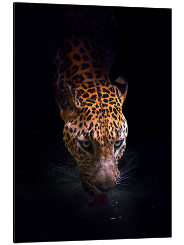 Aluminium print Leopard