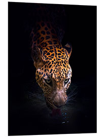 Foam board print Leopard