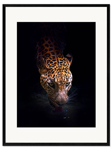 Impresión de arte enmarcada Leopardo