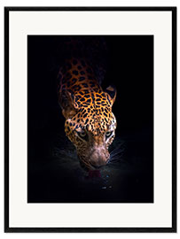 Impresión de arte enmarcada Leopardo