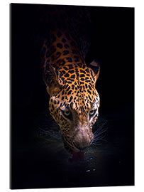 Gallery Print Leopard