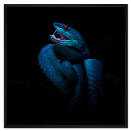 Gerahmter Kunstdruck Bubble Gum