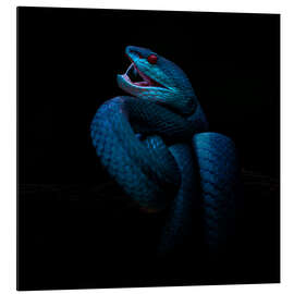 Magnettafel Bubble Gum