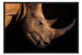 Gerahmter Kunstdruck Rhinoceros