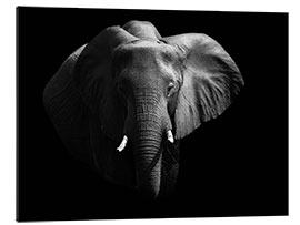 Gallery print Elephant