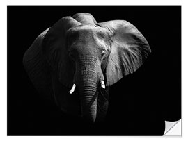 Selvklebende plakat Elephant