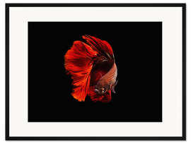Gerahmter Kunstdruck Das Rot