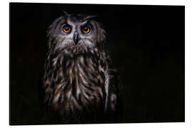 Magnettafel Prinz der Nacht